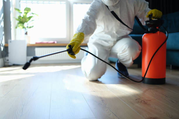 Reliable Odor Removal contractor in Zeeland, MI by Trauma Clean Pros